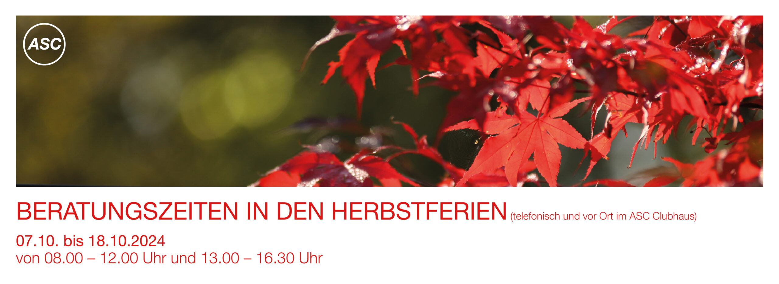 Rote Ahornblätter im Sonnenlicht, Text: „Beratungszeiten in den Herbstferien“, mit Terminen und Uhrzeiten für Beratungen vom 07.10. bis 18.10.2024.