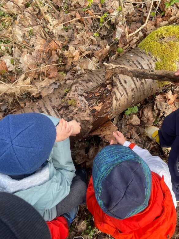 Drei Kinder in Jacken und Mützen betrachten einen umgestürzten Baumstamm im Wald, umgeben von trockenen Blättern und Ästen.