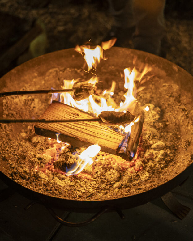 Eine Nahaufnahme eines Lagerfeuers mit brennenden Holzscheiten und Marshmallows, die auf Spießen über den Flammen geröstet werden.
