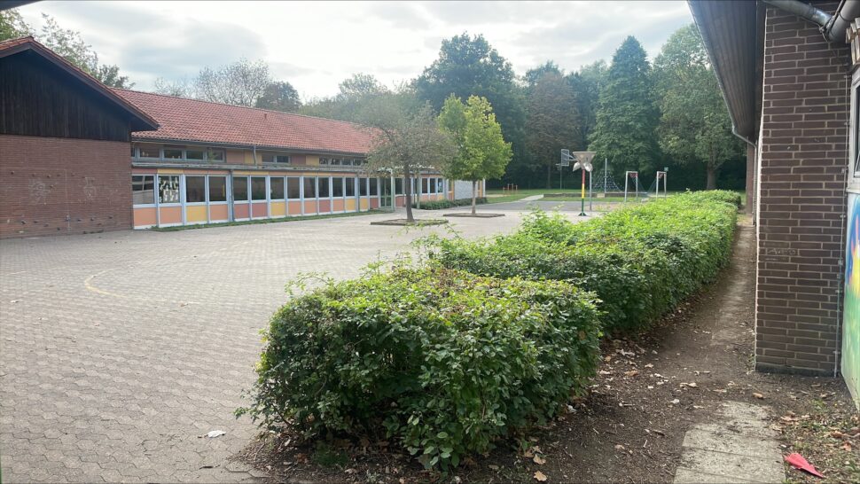 Ein leerer Schulhof mit einem Basketballkorb, einer Hecke und einem Gebäude mit großen Fenstern, umgeben von Bäumen unter einem bewölkten Himmel.
