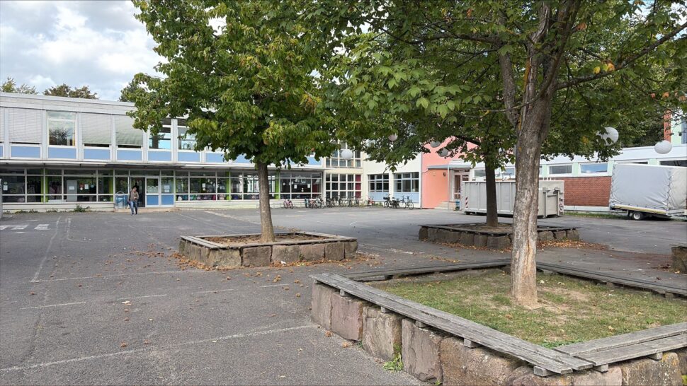 Ein leerer Schulhof mit zwei Bäumen, die in quadratischen Steinpflanzkübeln stehen; im Hintergrund ein Gebäude mit großen Fenstern und Fahrrädern.